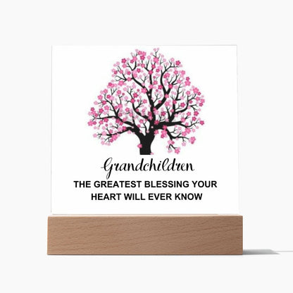 To My Mom | Greatest Blessing | Acrylic Plaque