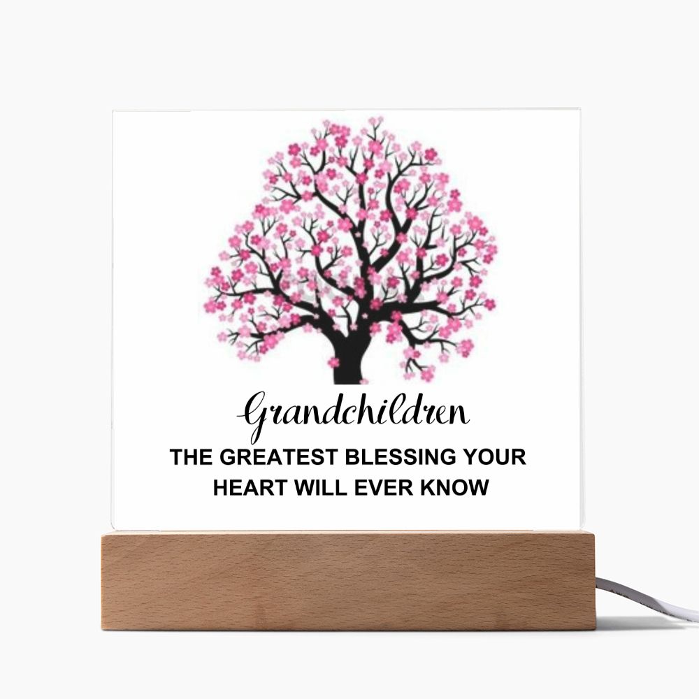 To My Mom | Greatest Blessing | Acrylic Plaque